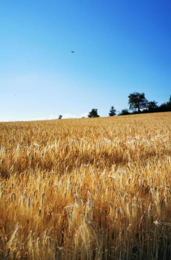 Evasion Nature Et Convivialite Sourcieux-les-Mines Luaran gambar