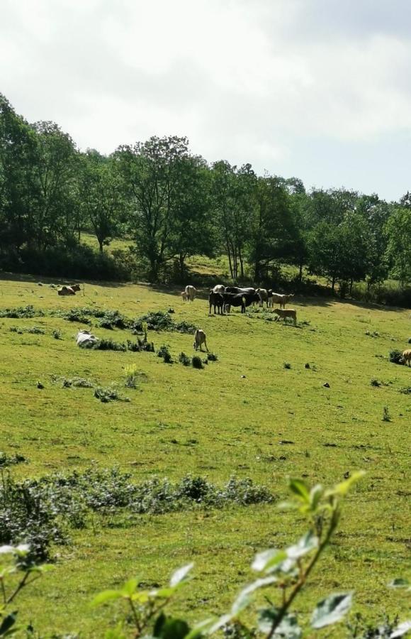 Evasion Nature Et Convivialite Sourcieux-les-Mines Luaran gambar